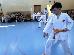 Egzaminy na stopnie kyu - czerwiec 2021