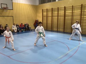 Egzaminy na stopnie kyu -grudzień 2021