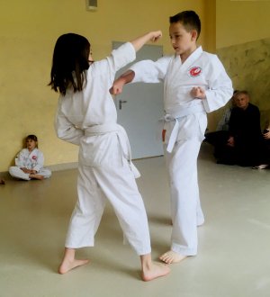 Egzaminy na stopnie uczniowskie kyu