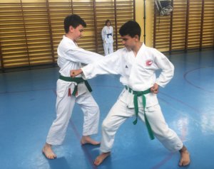 Egzaminy na stopnie uczniowskie kyu