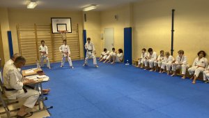 Egzaminy na stopnie kyu - grudzień 2021