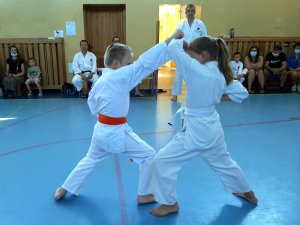 Egzaminy na stopnie kyu - czerwiec 2021