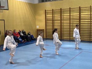 Egzaminy na stopnie kyu -grudzień 2021