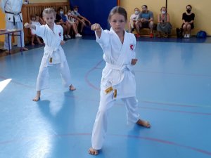 Egzaminy na stopnie kyu - czerwiec 2021