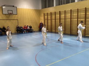 Egzaminy na stopnie kyu -grudzień 2021