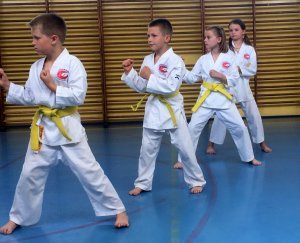 Egzaminy na stopnie uczniowskie kyu