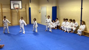 Egzaminy na stopnie kyu - grudzień 2021