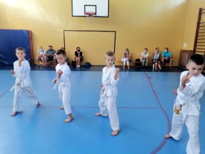 Egzaminy na stopnie kyu - czerwiec 2021