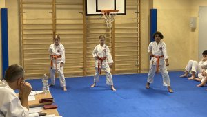 Egzaminy na stopnie kyu - grudzień 2021