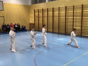 Egzaminy na stopnie kyu -grudzień 2021