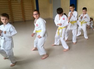 Egzaminy na stopnie uczniowskie kyu