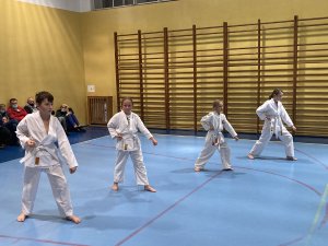 Egzaminy na stopnie kyu -grudzień 2021