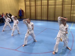 Egzaminy na stopnie kyu -grudzień 2021