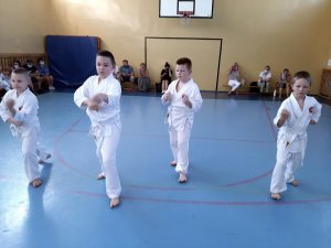 Egzaminy na stopnie kyu - czerwiec 2021