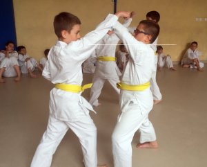 Egzaminy na stopnie uczniowskie kyu