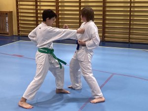 Egzaminy na stopnie kyu -grudzień 2021