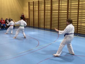 Egzaminy na stopnie kyu -grudzień 2021