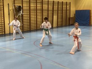 Egzaminy na stopnie kyu -grudzień 2021