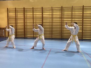 Egzaminy na stopnie kyu -grudzień 2021