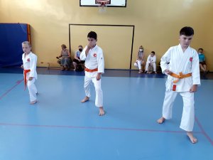 Egzaminy na stopnie kyu - czerwiec 2021