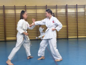 Egzaminy na stopnie uczniowskie kyu