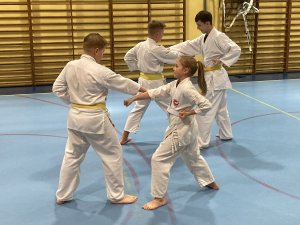 Egzaminy na stopnie kyu -grudzień 2021