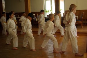 Zgrupowanie karate