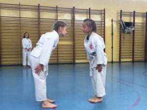 Egzaminy na stopnie uczniowskie kyu