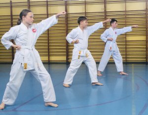 Egzaminy na stopnie uczniowskie kyu