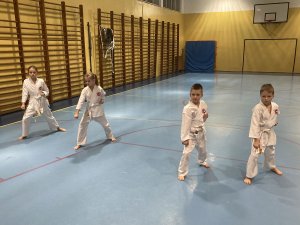 Egzaminy na stopnie kyu -grudzień 2021