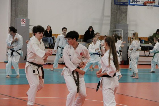 Staż techniczny JKA - Y.Ohta - 7 DAN