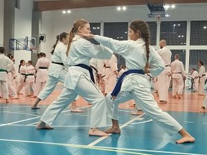 Staż techniczny - Y.Ohta