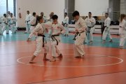 Staż techniczny JKA - Y.Ohta - 7 DAN