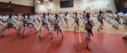 Staż techniczny JKA Polska