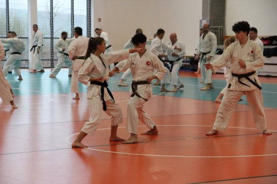 Staż techniczny JKA - Y.Ohta - 7 DAN