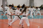 Staż techniczny JKA - Y.Ohta - 7 DAN