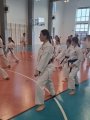 Staż techniczny JKA - Y.Ohta - 7 DAN