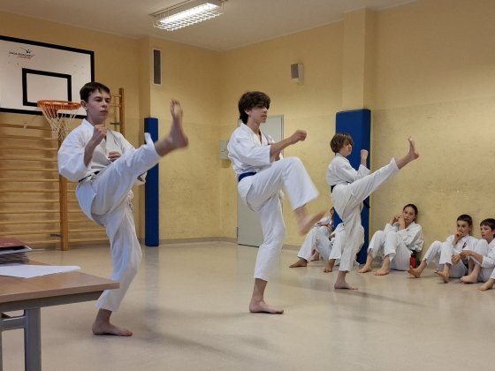 Czerwcowe egzaminy na stopnie kyu
