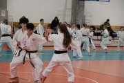 Staż techniczny JKA - Y.Ohta - 7 DAN