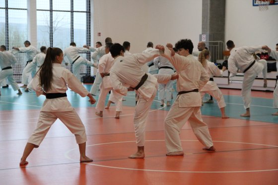 Staż techniczny JKA - Y.Ohta - 7 DAN