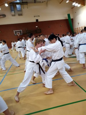 Seminarium z sensei Tatsuya Naka