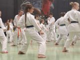 Gasshuku z sensei Kurihara i Igarashi