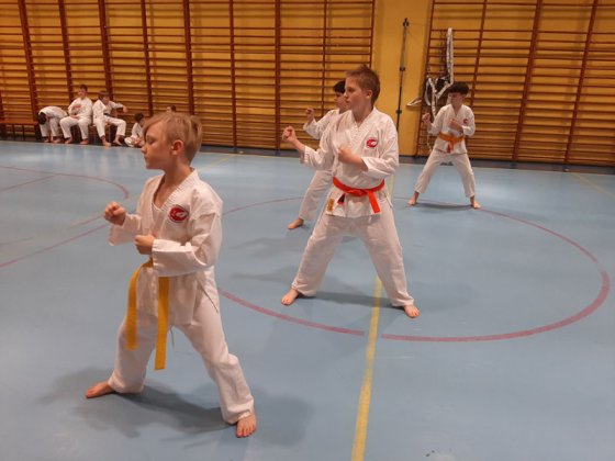 Egzaminy na stopnie kyu - Murowana Goślina