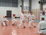 Staż techniczny JKA - Y.Ohta - 7 DAN