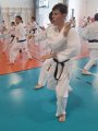 Staż techniczny z sensei Naka i Kurihara