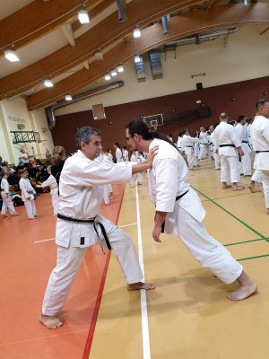 Seminarium z sensei Tatsuya Naka