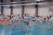 Staż techniczny z  Y. Ohta