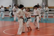 Staż techniczny JKA - Y.Ohta - 7 DAN
