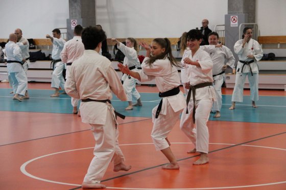 Staż techniczny JKA - Y.Ohta - 7 DAN