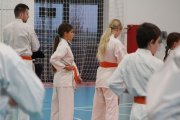 Staż techniczny JKA - Y.Ohta - 7 DAN